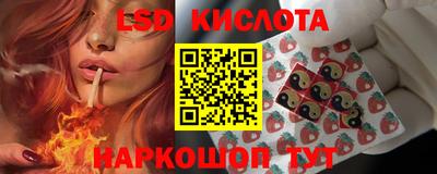 сатива Краснознаменск