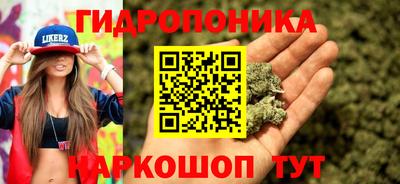сатива Краснознаменск