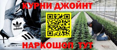 крисы Краснокаменск