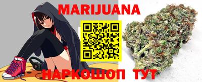 сатива Краснознаменск
