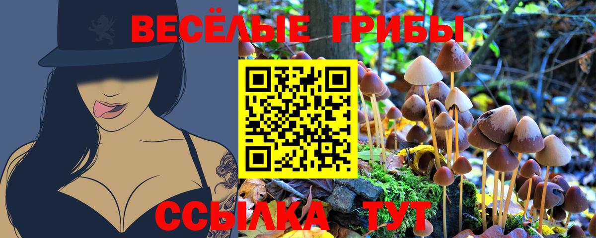 Калининград  Псилоцибиновые грибы прущие грибы  купить наркотики сайты  Вход с VPN 