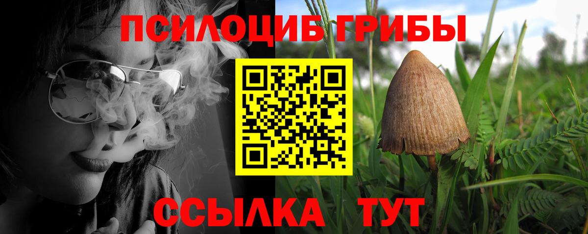 Псилоцибиновые грибы мицелий Калининград